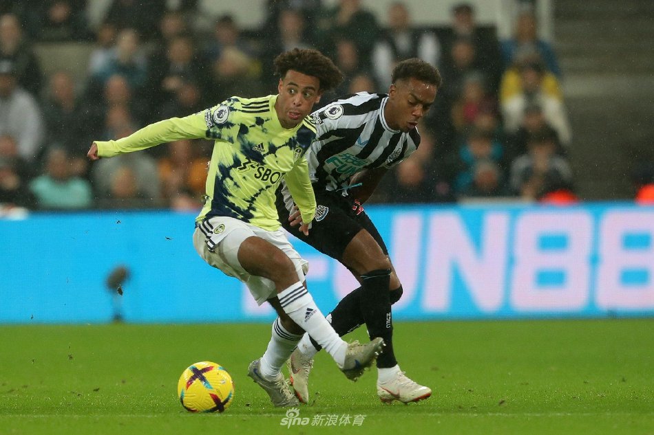 他会果断选 他会果断选