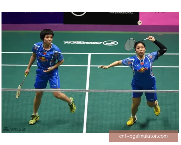 全面解读羽毛球赛事精彩瞬间