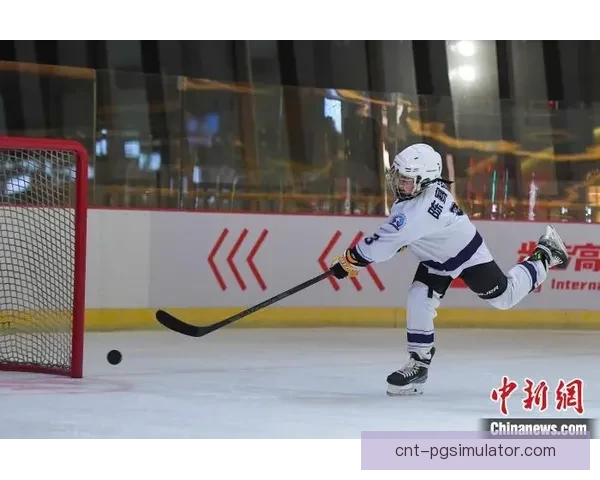 冰球对战策略全面解析及实战技巧分享 冰球对战策略全面解析及实战技巧分享