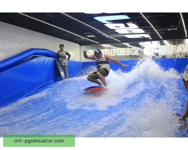 学会冲浪:冲浪教学视频全攻略 学会冲浪:冲浪教学视频全攻略