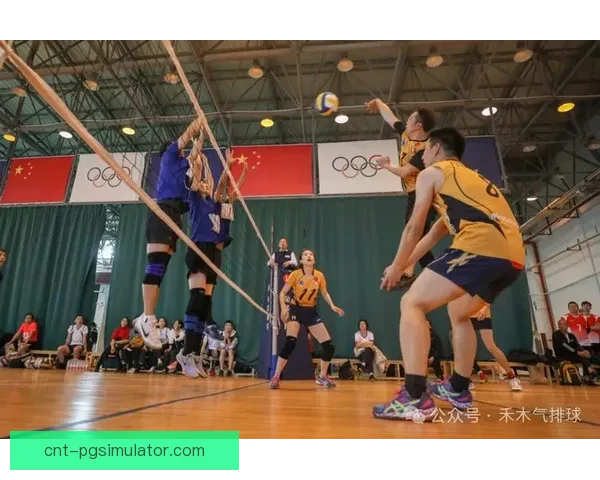 掌握排球技巧，轻松学习排球教学视频