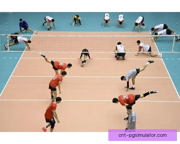 排球数据挖掘与分析:洞察胜利之谜 排球数据挖掘与分析:洞察胜利之谜