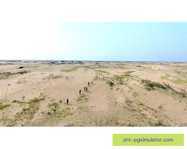 探秘丛林深处的极限挑战赛