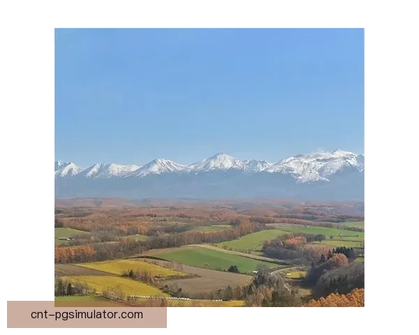 攀岩数据分析：挑战与趋势