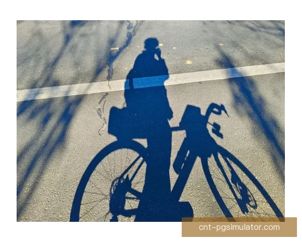 自行车规则大揭秘:骑行安全、路权解读、装备选择全知道 自行车规则大揭秘:骑行安全、路权解读、装备选择全知道