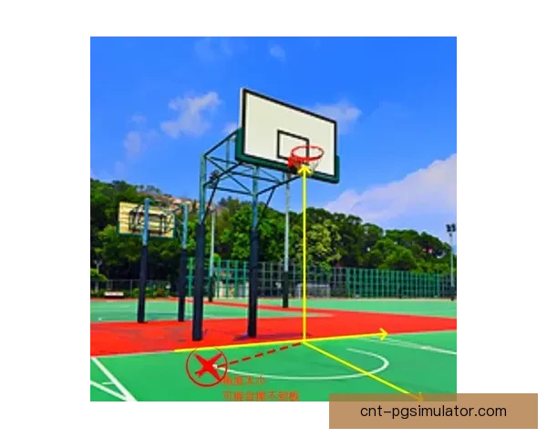 篮球入门：从基础规则到技巧训练