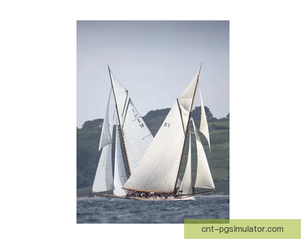 纵帆扬帆，追逐风之影