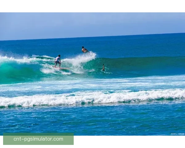 绽放海浪之美,共振冲浪之梦 绽放海浪之美,共振冲浪之梦