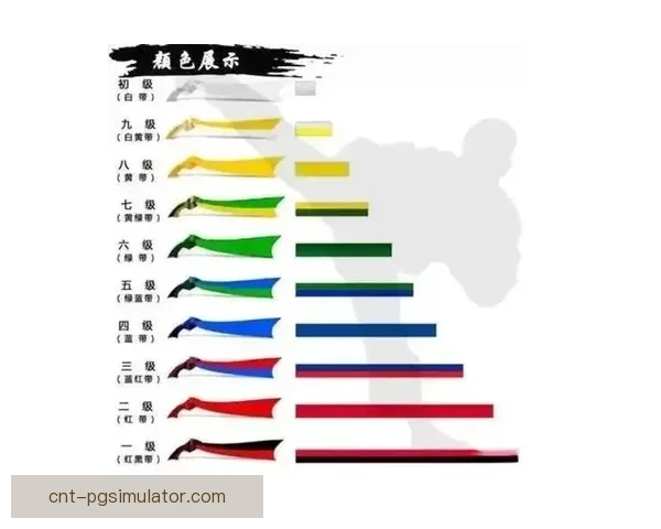 跆拳道投注技巧精要揭秘