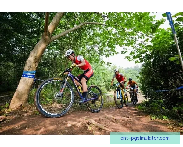 速度与激情：挑战自行车赛道的极限