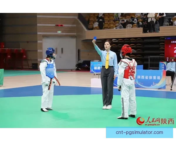 重返辉煌：精彩跆拳道赛事全程回放